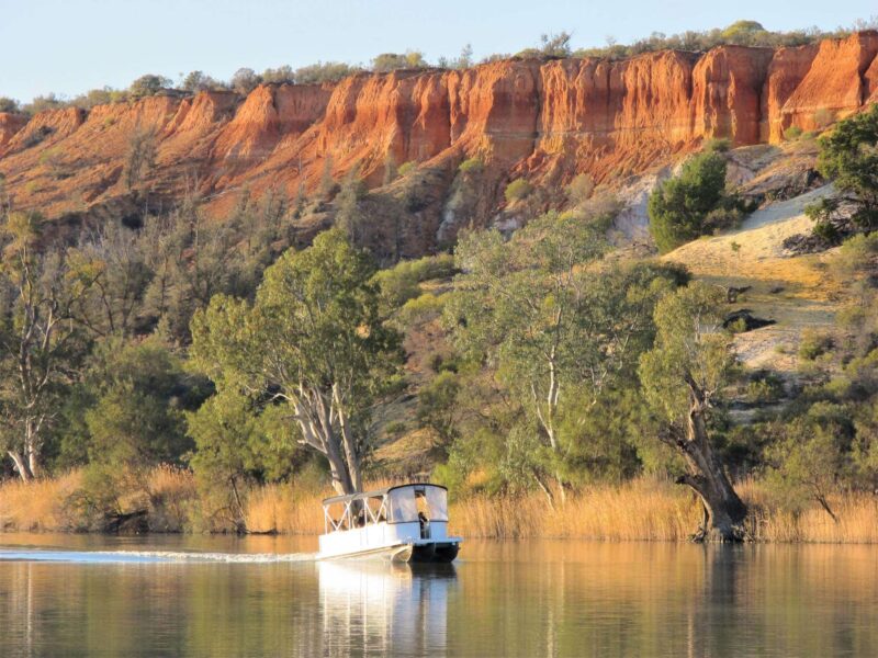 Murray River cruising