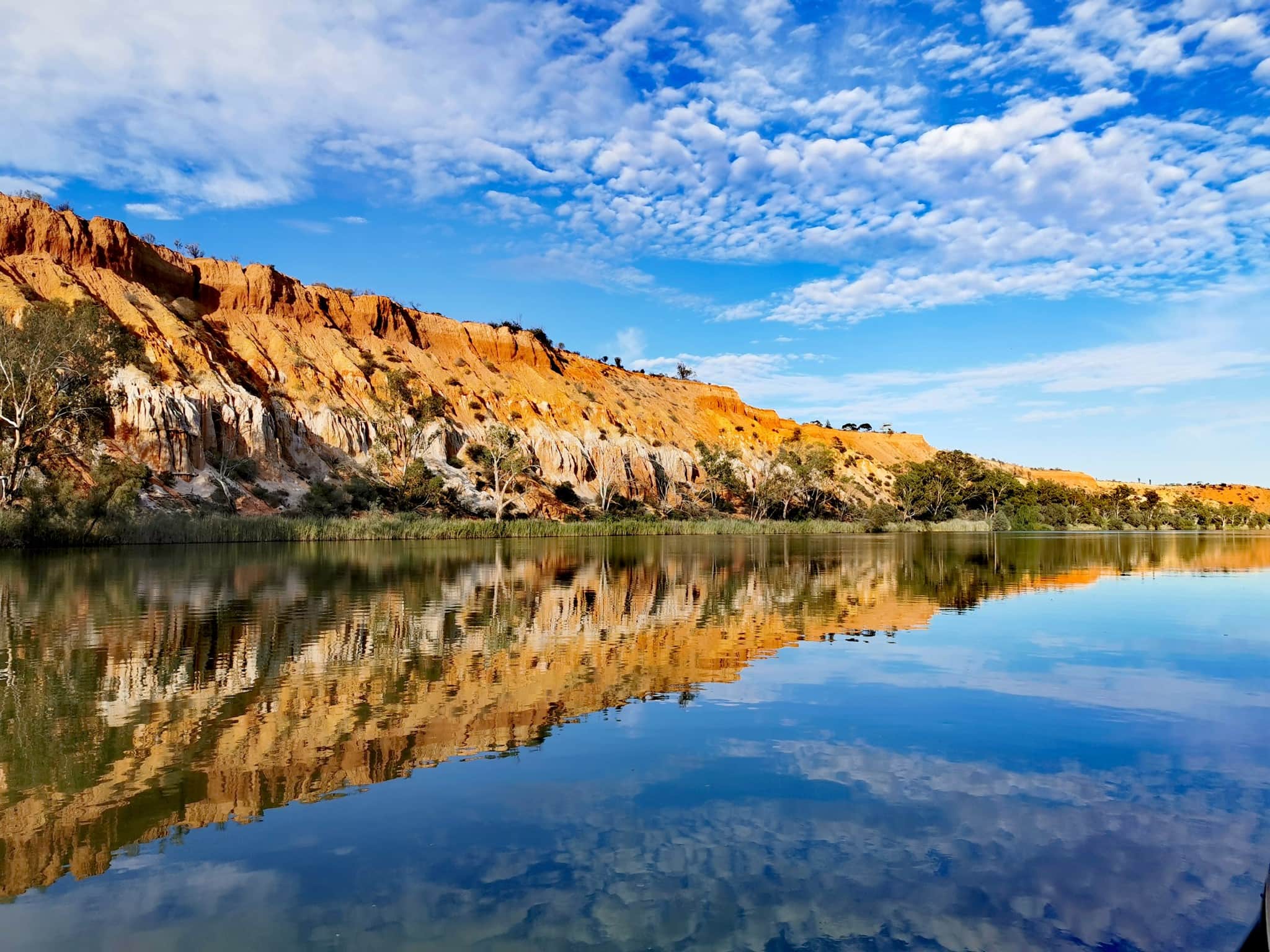 Murray River Trails Headings Cliffs