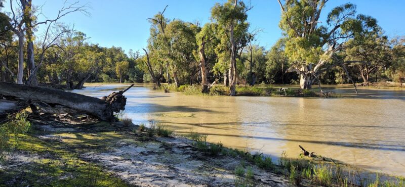 DAY 1 20220607 093843 Copy