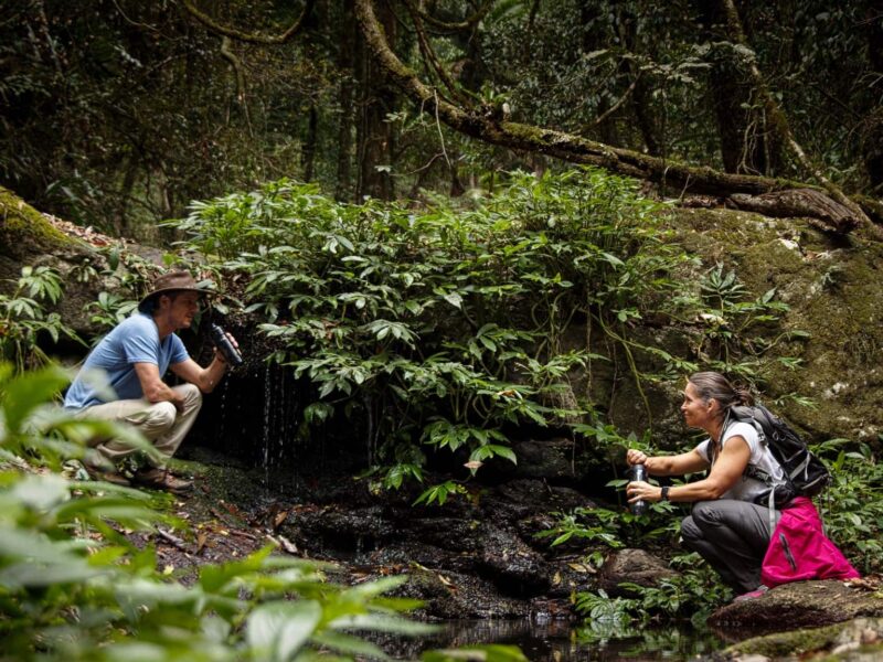 Spicers Scenic Rim Trail By Spicers Retreats Copy