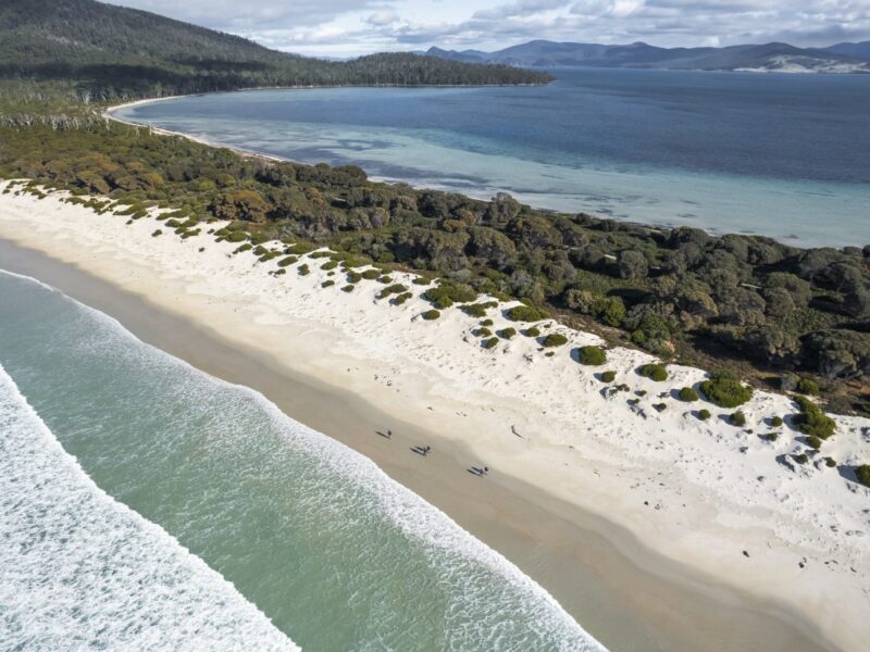 The Maria Island Walk By Wild Bush Luxury 2 Copy